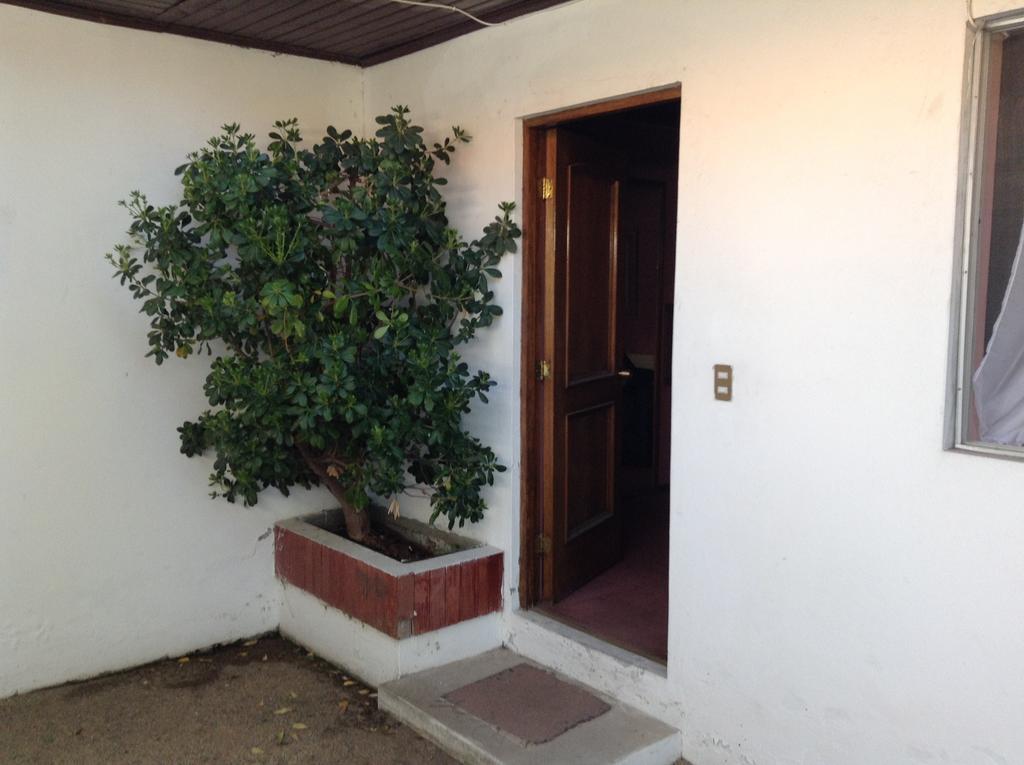 Chillán Hotel Alicante المظهر الخارجي الصورة
